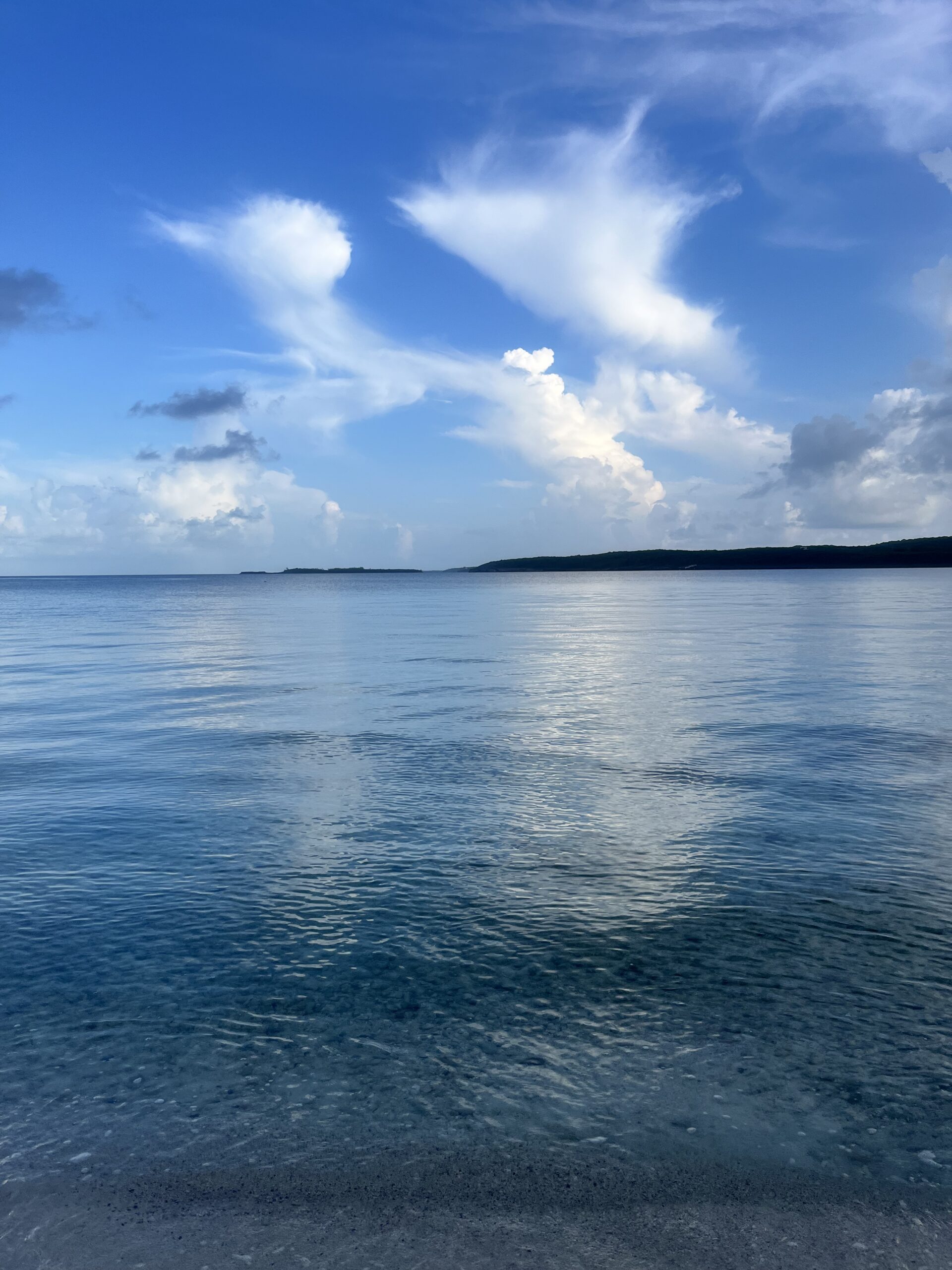 The Eleuthera shoreline